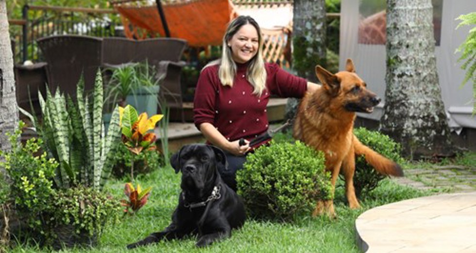 40ª fase do Meu Pet Feliz
