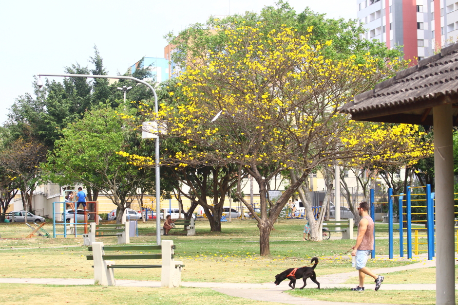 cv__1618_claudio_vieira.jpg