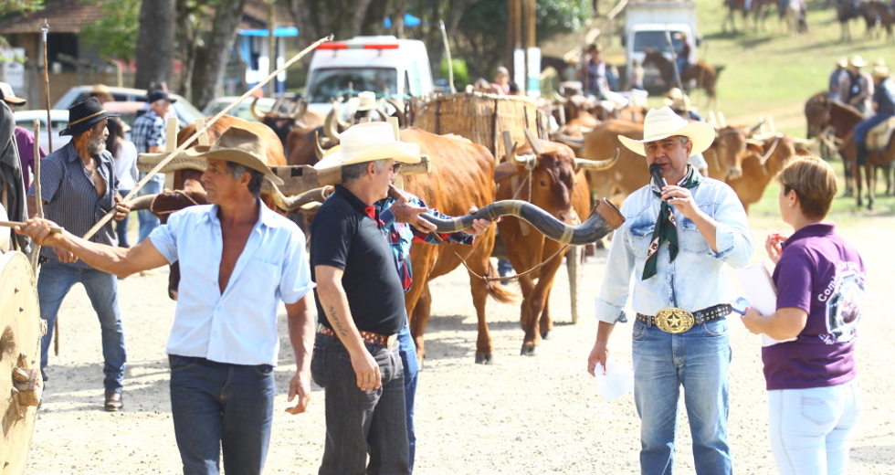 cv__4646-claudio_vieira.jpg