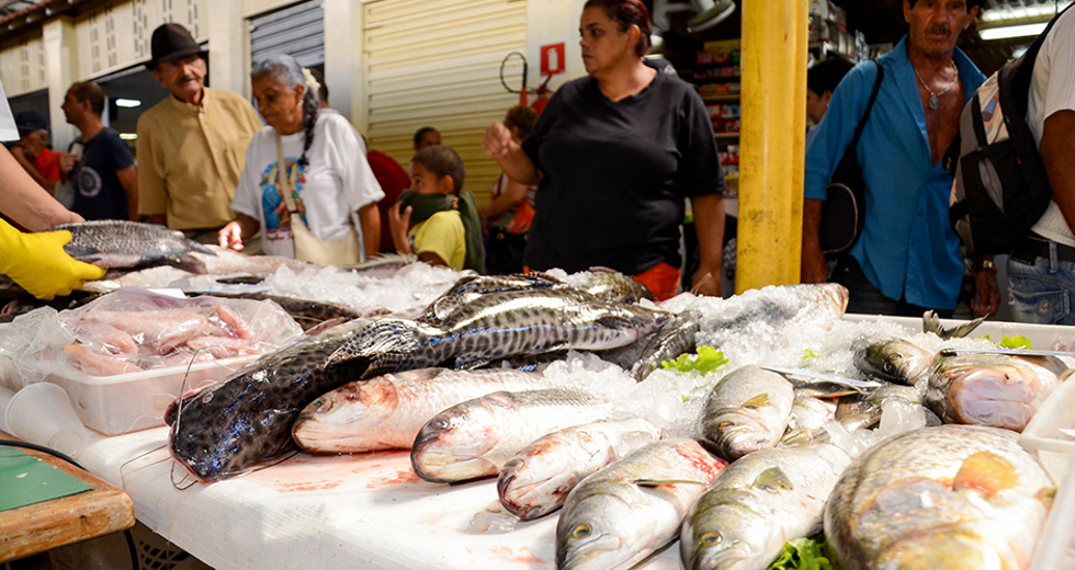 campanha-do-peixe-mercado-municipal-18-04-2019-lucas-cabral-04.jpg