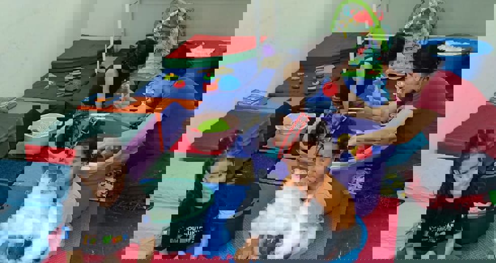 festacriancas6.jpeg