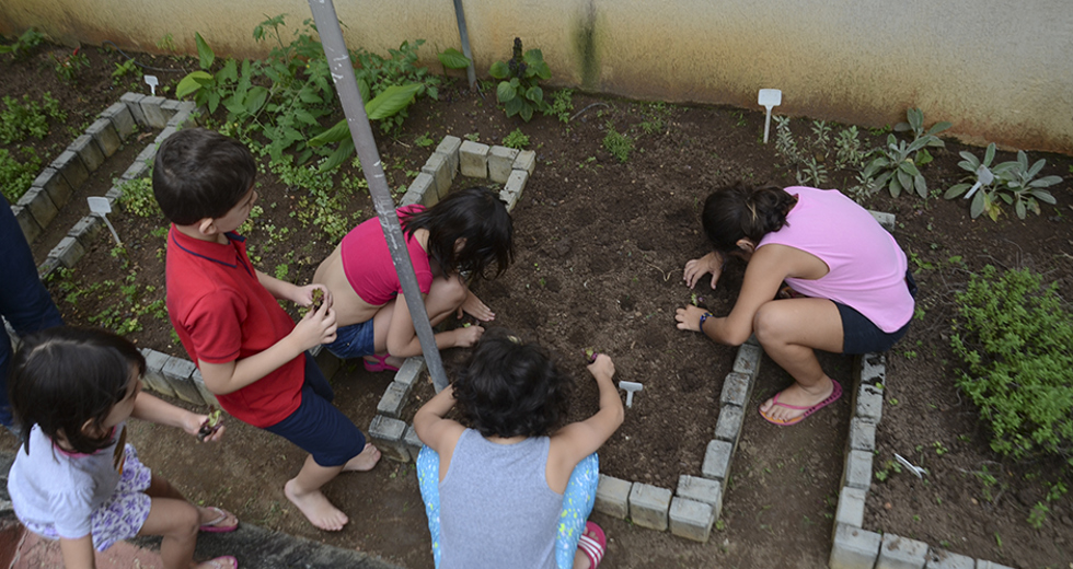 cultivo-de-hortas-e-composteira-12-12-2019-lucas-cabral-06.jpg