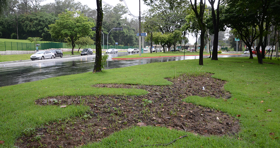 trevo-cta-revitalizado-01-03-2019-lucas-cabral-03.jpg