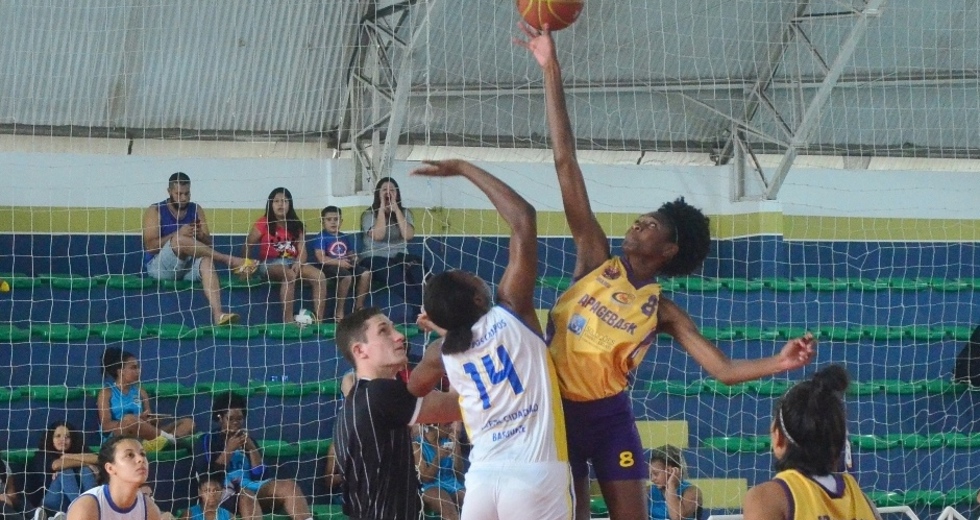 tmf_2462.jpg