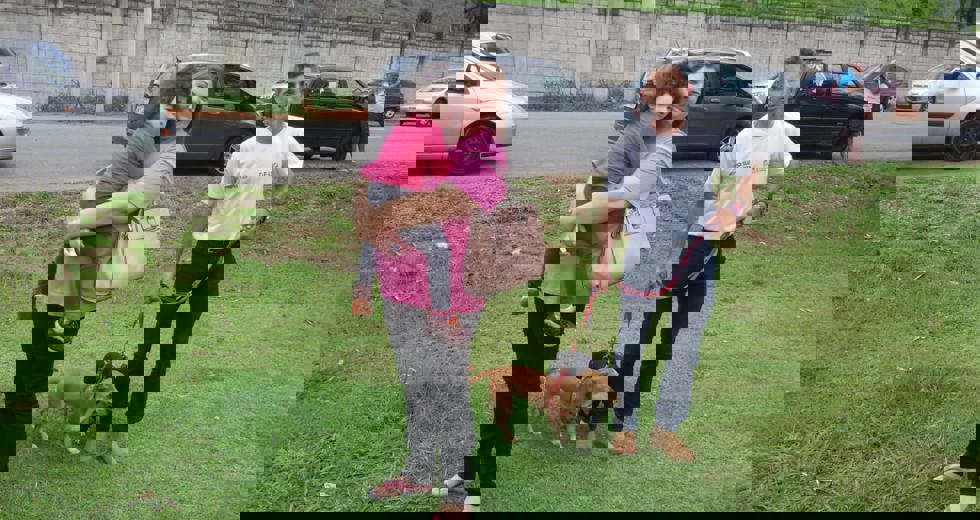 pet-1.jpg