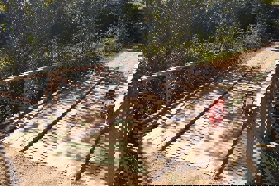 ponte-guirra-1.jpeg