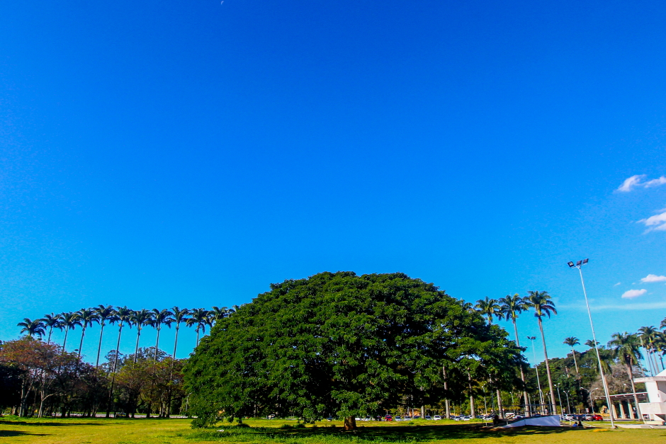 parque_da_cidade-018-claudio_vieira.jpg