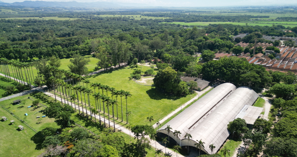 dji_0163.jpg