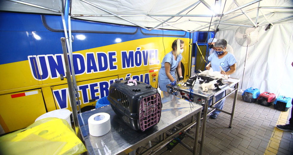 cv__0062_claudio_vieira.jpg