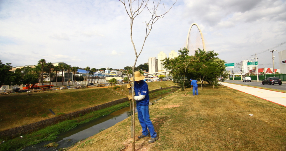 cv__6889_claudio_vieira.jpg