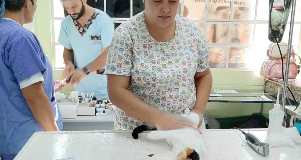 pet-feliz-8.jpg