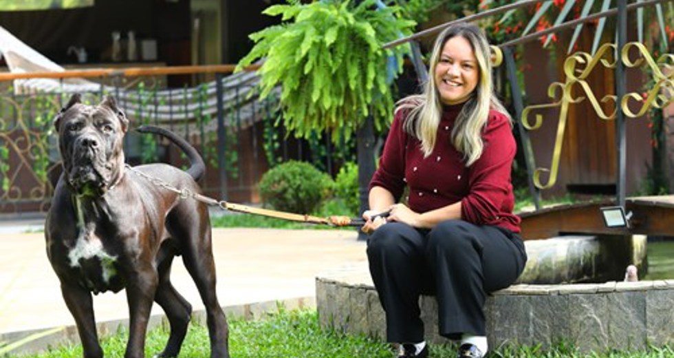 40ª fase do Meu Pet Feliz