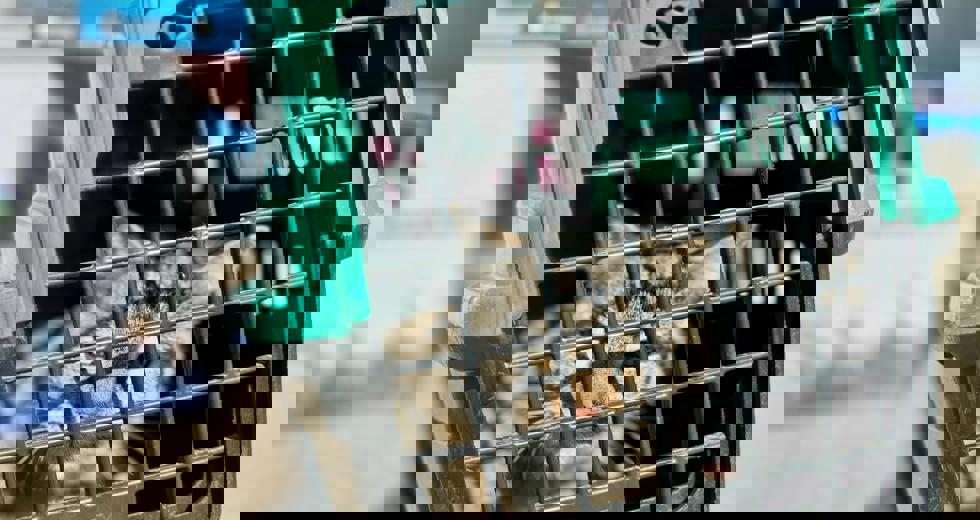 pref-interlagos-1.jpeg