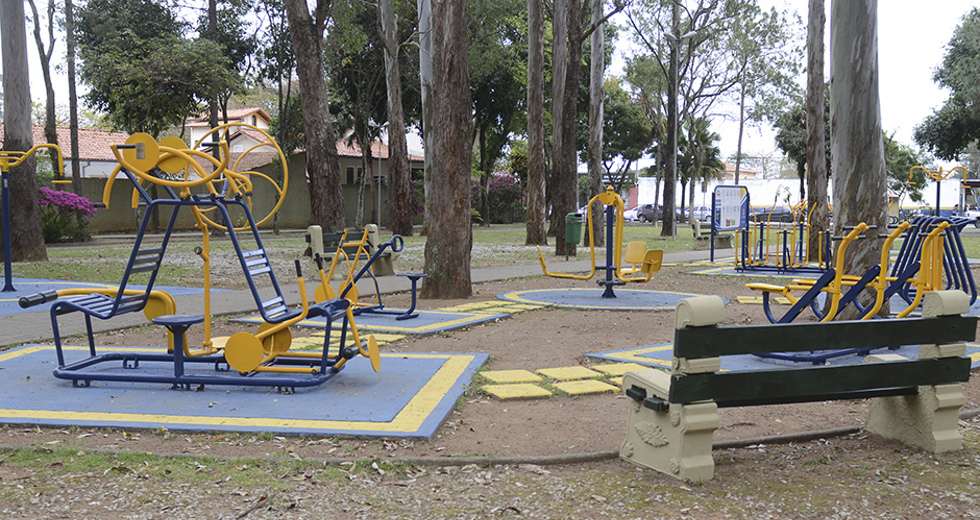 bosque-dos-eucaliptos-14-08-2019-lucas-cabral-03.jpg