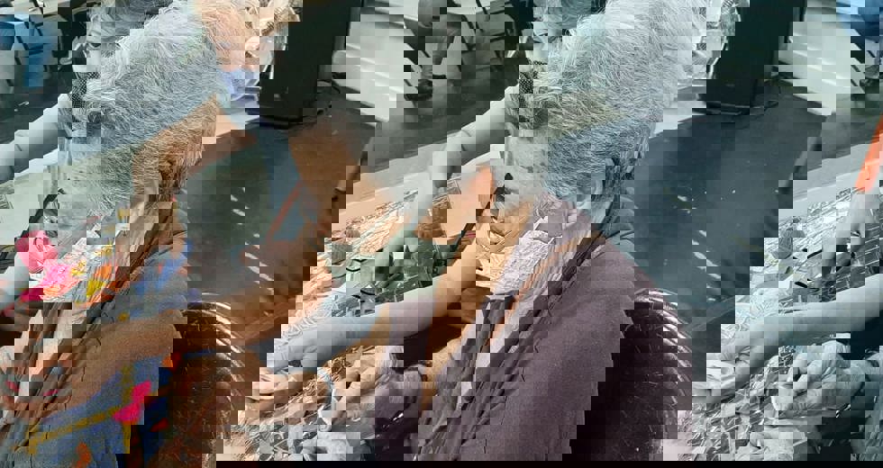 idososfx8.jpeg
