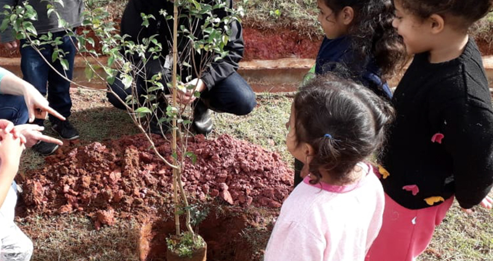 platio-instituto-materno-infantil-pinheirinho-dos-palmares-06-06-2019-pmsjc-11.jpg