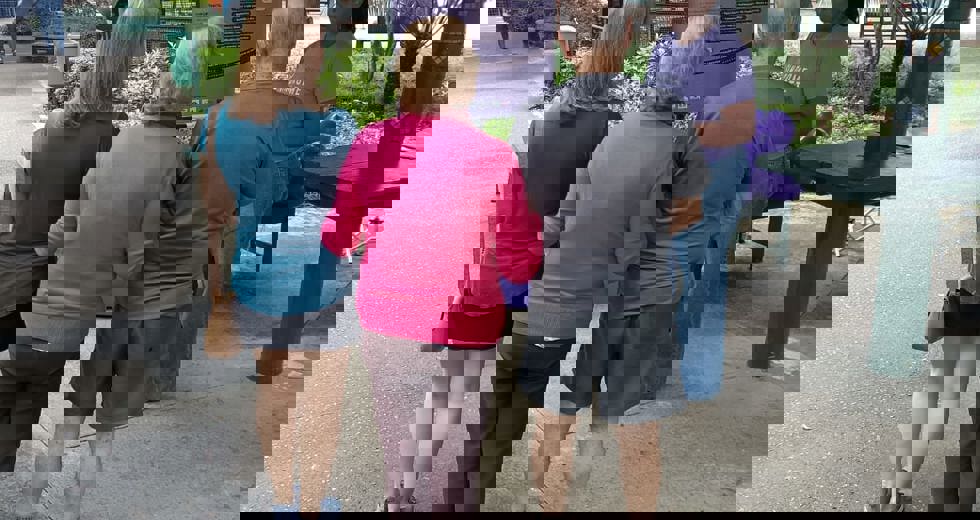 5031208.jpeg