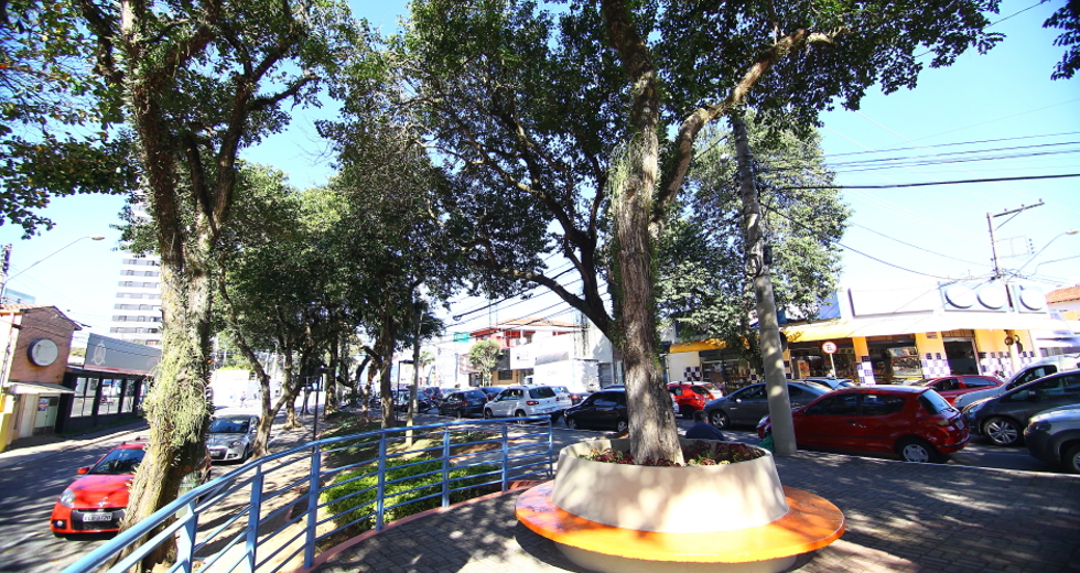 cv__1838-claudio_vieira.jpg