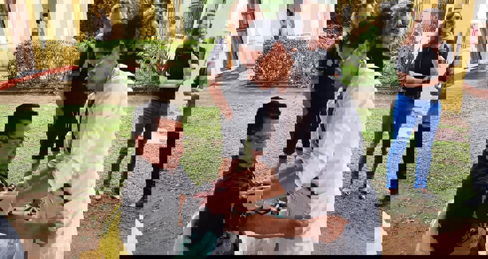 diabetes3jpeg.jpeg