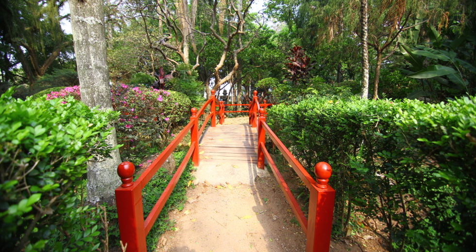 cv__9944_claudio_vieira.jpg