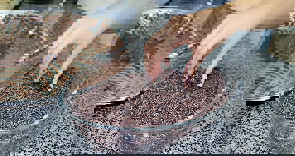 89114969_3027621297257392_8836061244835233792_o.jpg