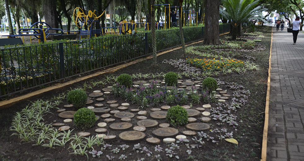 paisagismo-parque-santos-dumont-12-12-2019-lucas-cabral-12.jpg