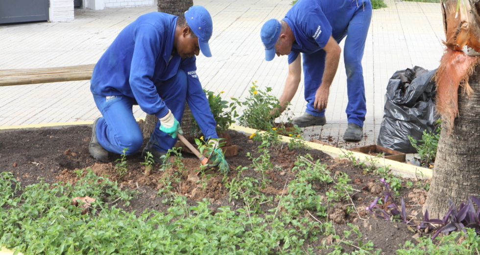 plantio_flores_jardineiras_orla_13beto_faria.jpg