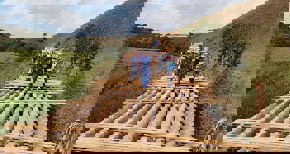 72724429_2508012665915373_8383869500021276672_n.jpg