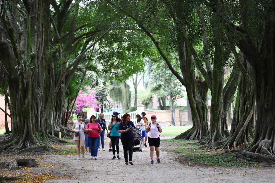 city-tour-parque-cidade-3.jpeg