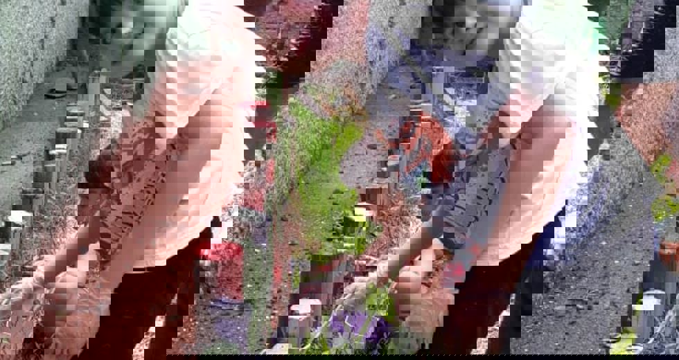 horta-no-bosque-20.jpeg