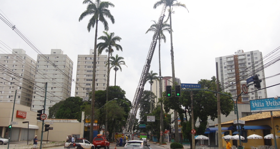 controle-de_pragas-19-claudio_vieira.jpg