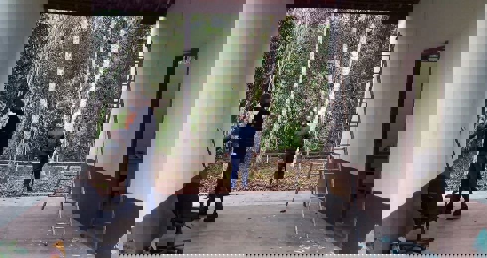 nupdecsfx2.jpeg