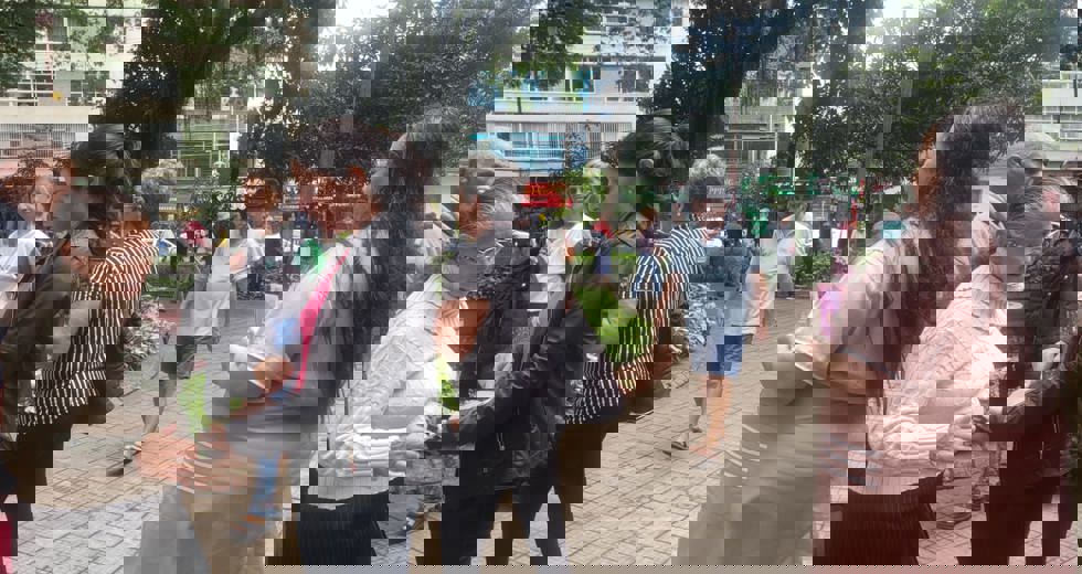 outubrorosa11.jpeg