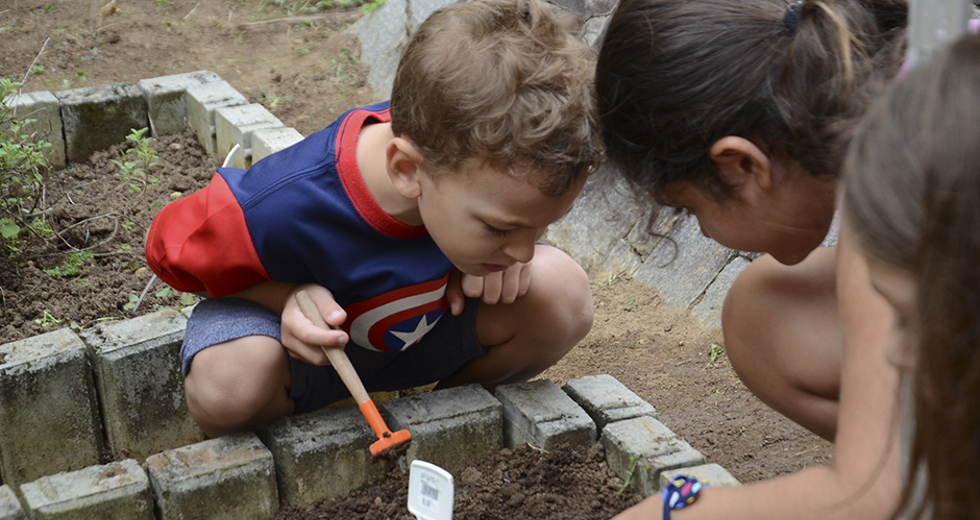 cultivo-de-hortas-e-composteira-12-12-2019-lucas-cabral-27.jpg