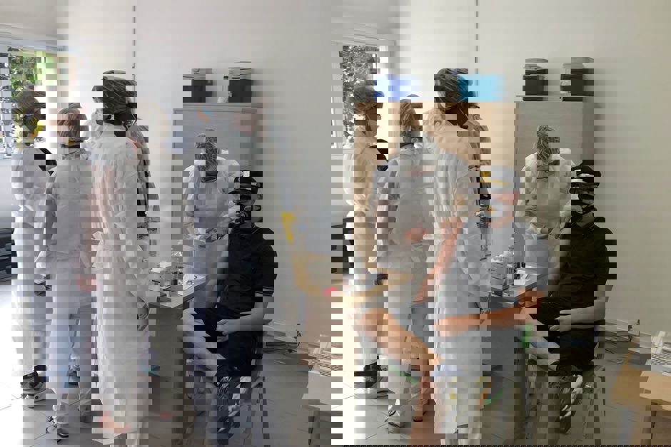 vacina5.jpeg