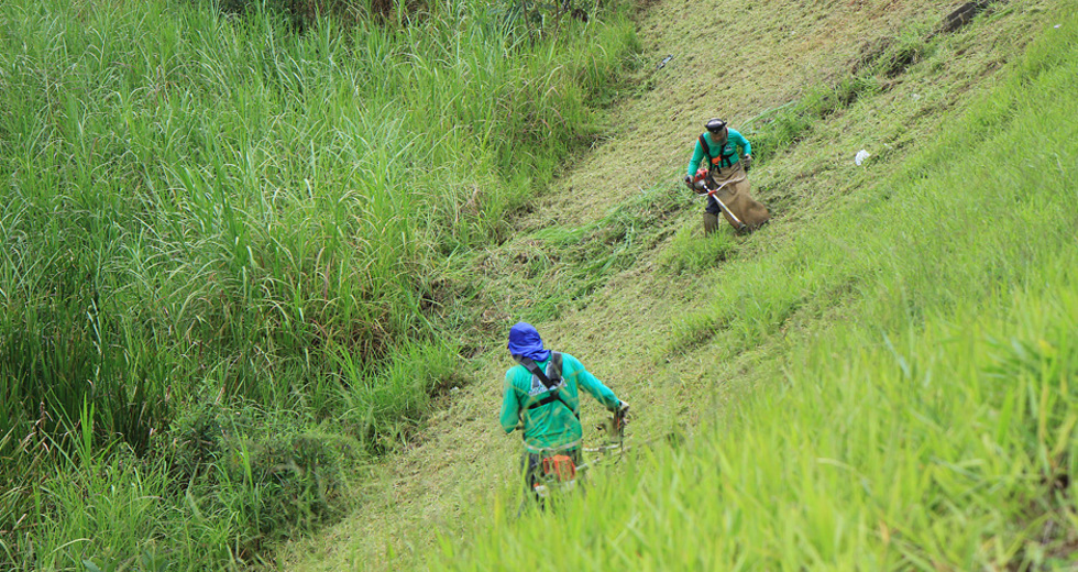 rocada_trevo_vista_verde_06_02_18-03_beto_freitas.jpg