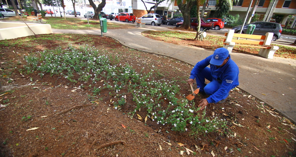 cv__2485-claudio_vieira.jpg