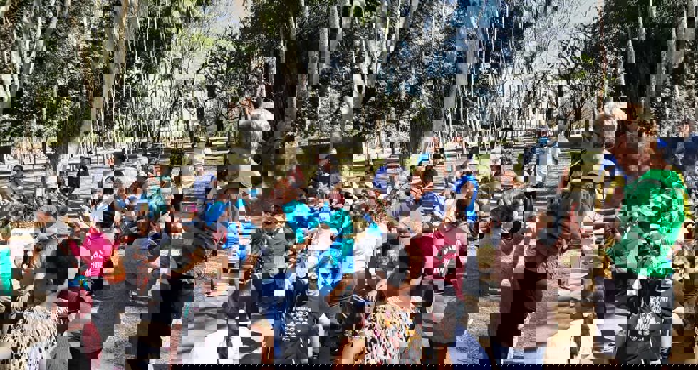 casadoidoso11.jpeg