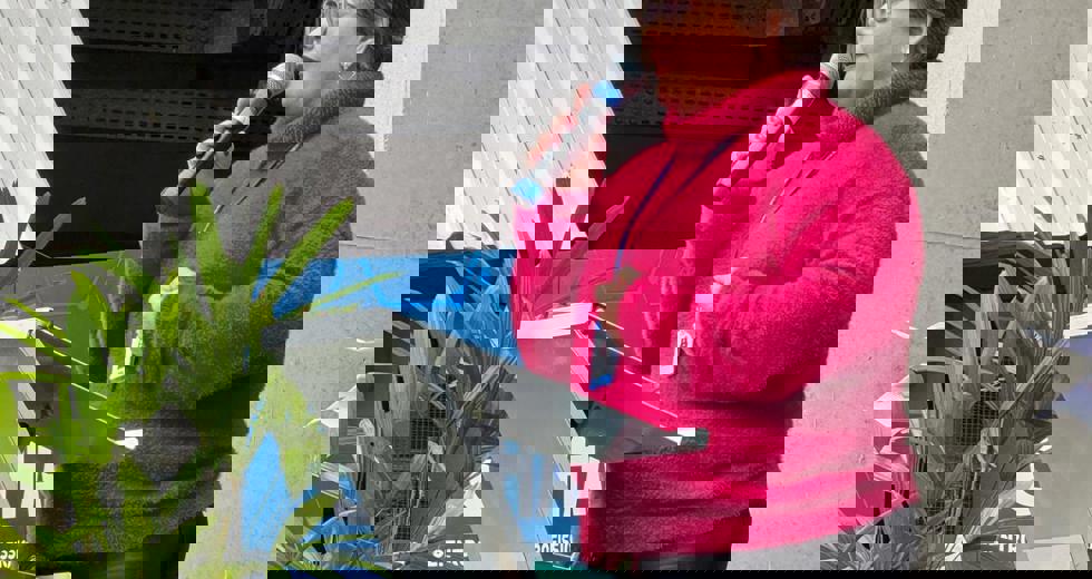 cephas-25-anos-9.jpeg