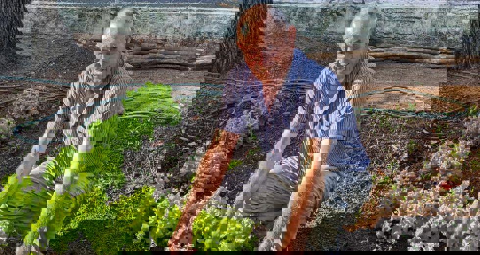 horta-92.jpeg