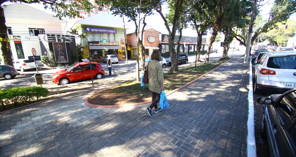cv__1857-claudio_vieira.jpg