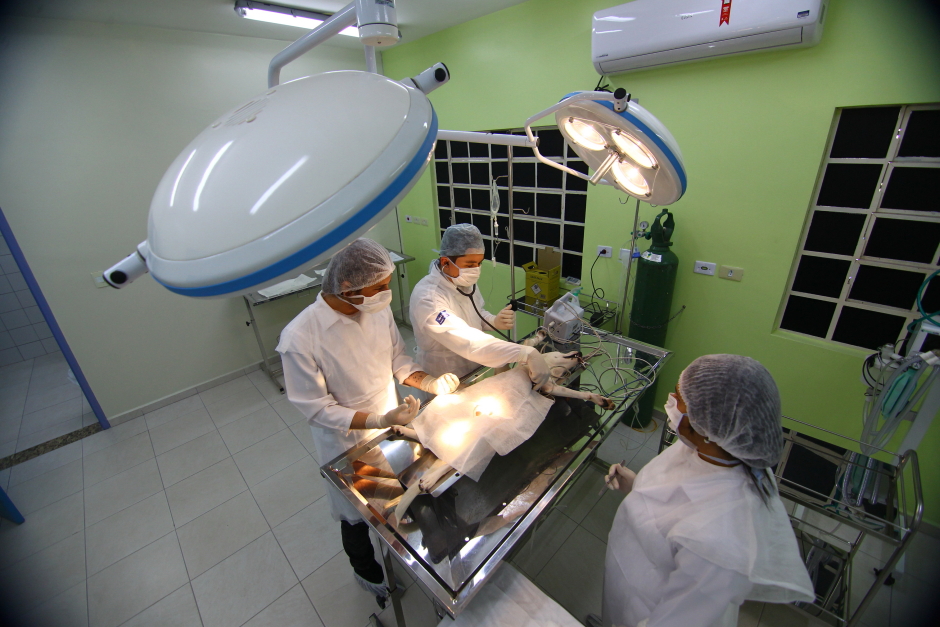 cv__0942-claudio_vieira.jpg