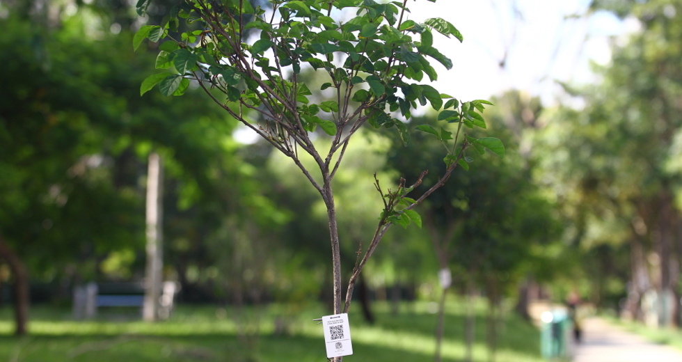 cv__8517_claudio_vieira.jpg