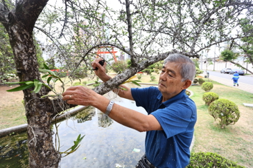 Plantio no jardim do Tori com comunidade japonesa. Foto: Claudio Vieira/PMSJC 04-10-2025