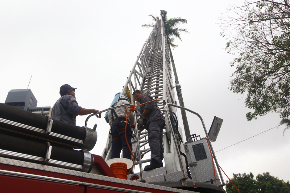 Foto: Divulgação controle-de_pragas-10-claudio_vieira.jpg