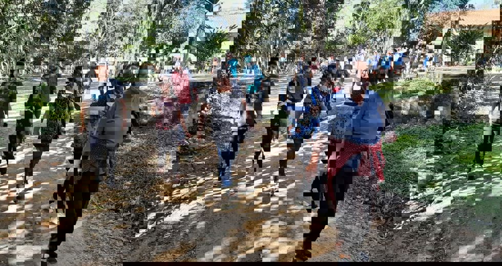 casadoidoso30.jpeg