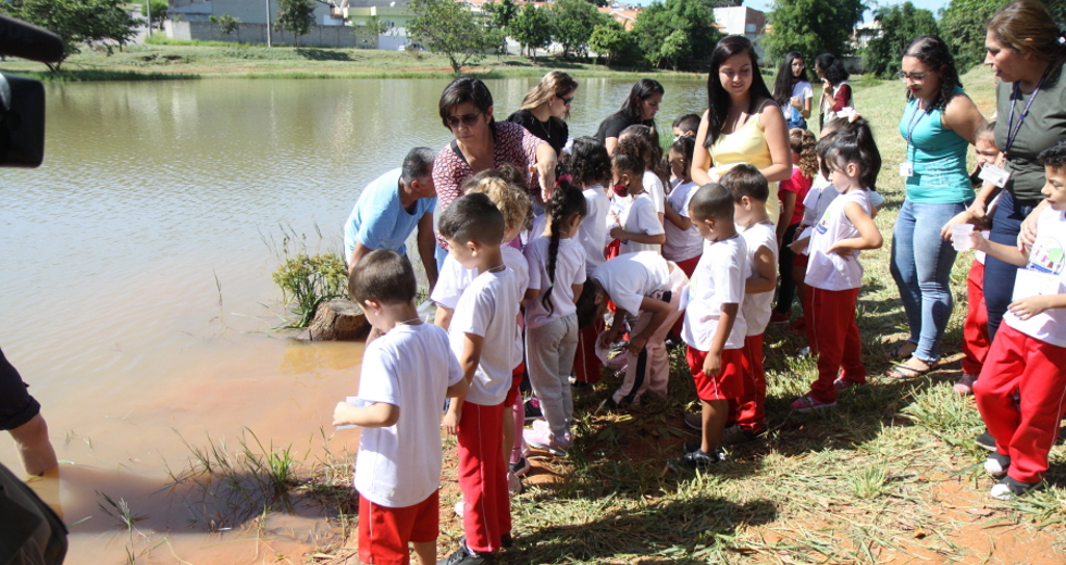 img_8262_claudio_vieira.jpg