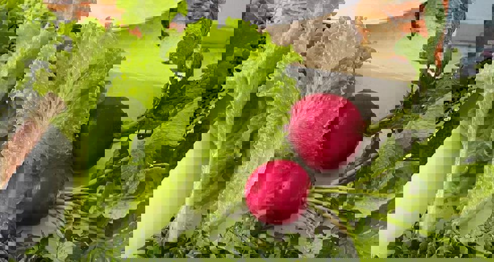 criancas-cultivam-alimentos-e-descobertas-em-projeto-de-horta-escolar-6.jpeg