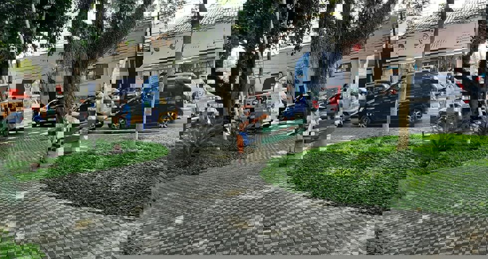 apoiosocial7.jpeg