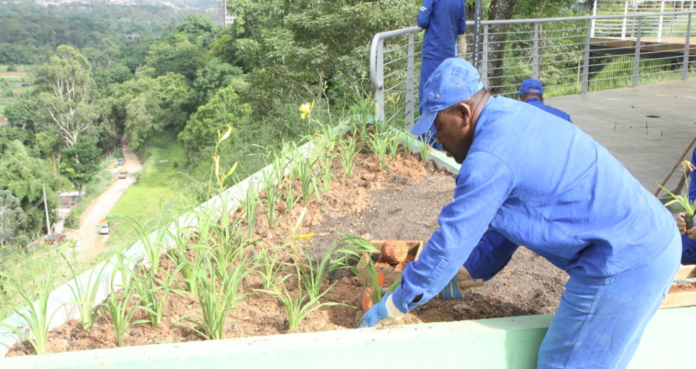 plantio_flores_jardineiras_orla_14beto_faria.jpg